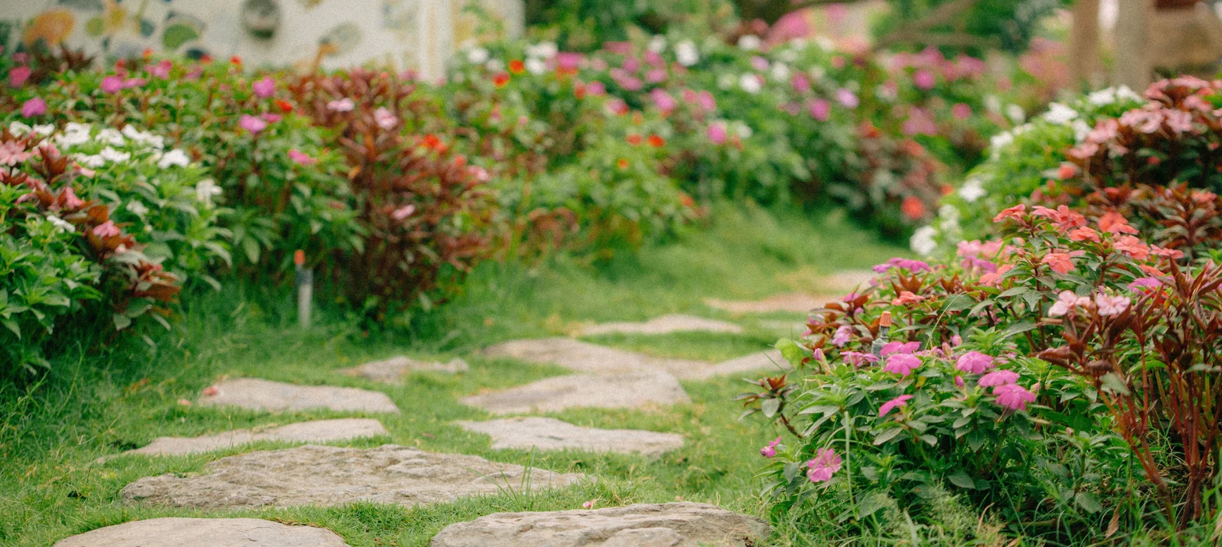 Bring Your Home to Life